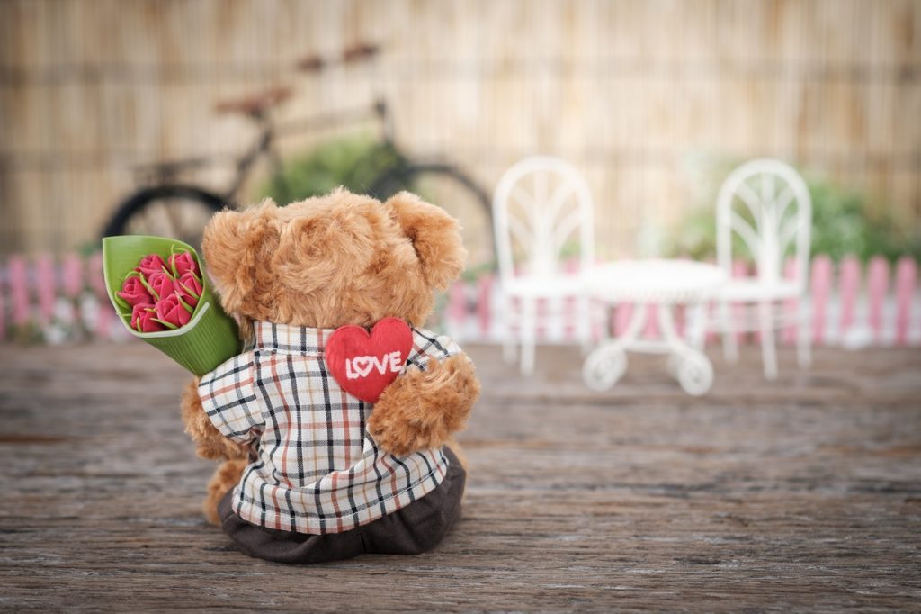 brown bear plush toy holding red rose flower 1028729