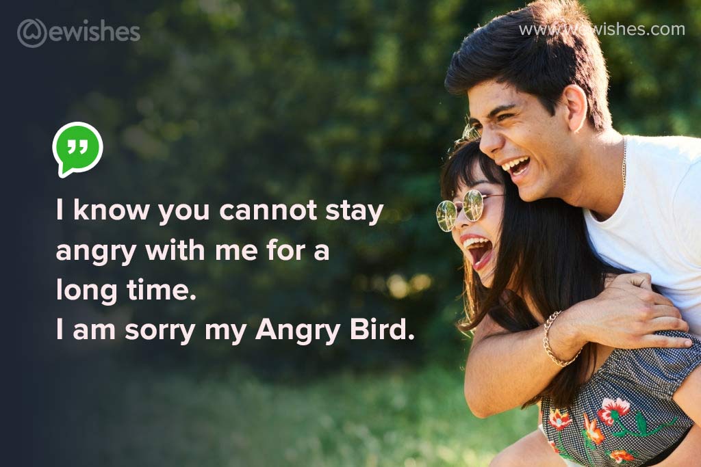 Funny Sorry Messages for Girlfriend, I am sorry my Angry Bird.