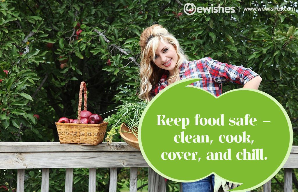 World Food Safety Day Slogans