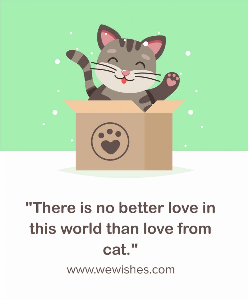 Funny Inspirational Cat Quotes