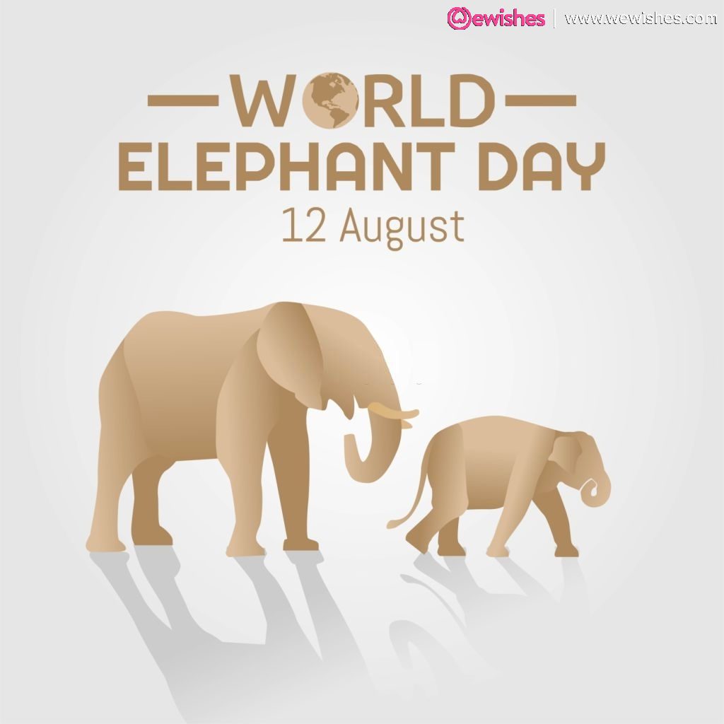 World Elephant Day Images