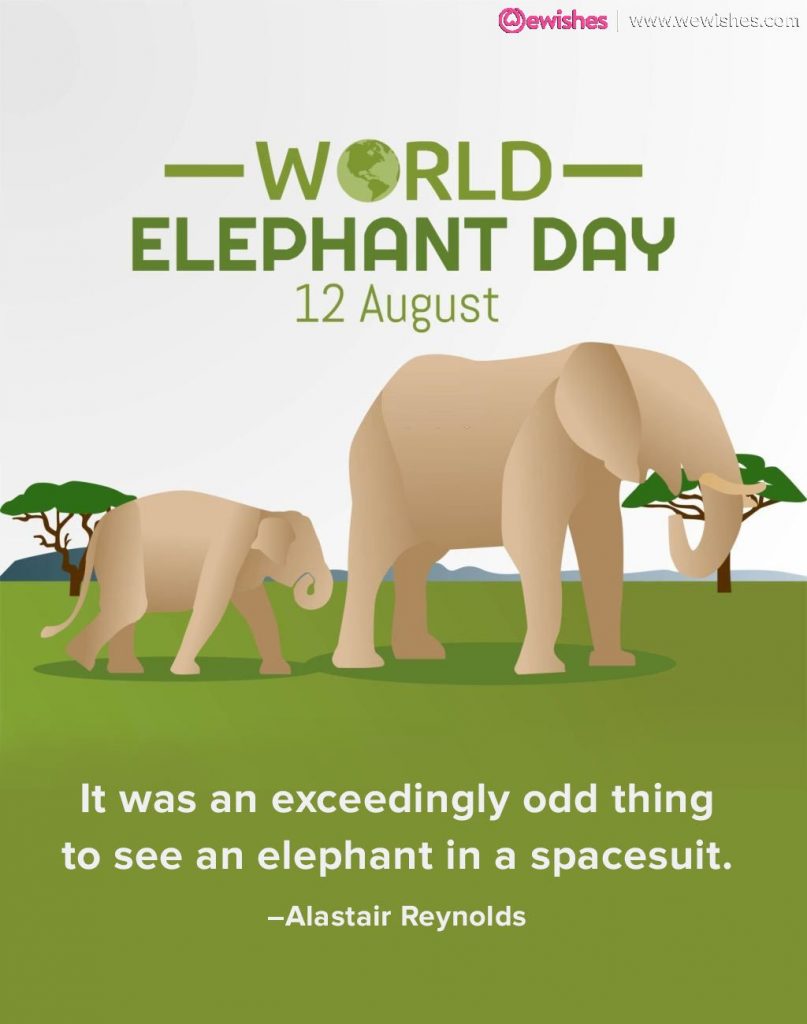 world elephant day photos
