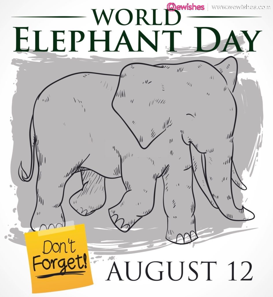 World Elephant Day wishes