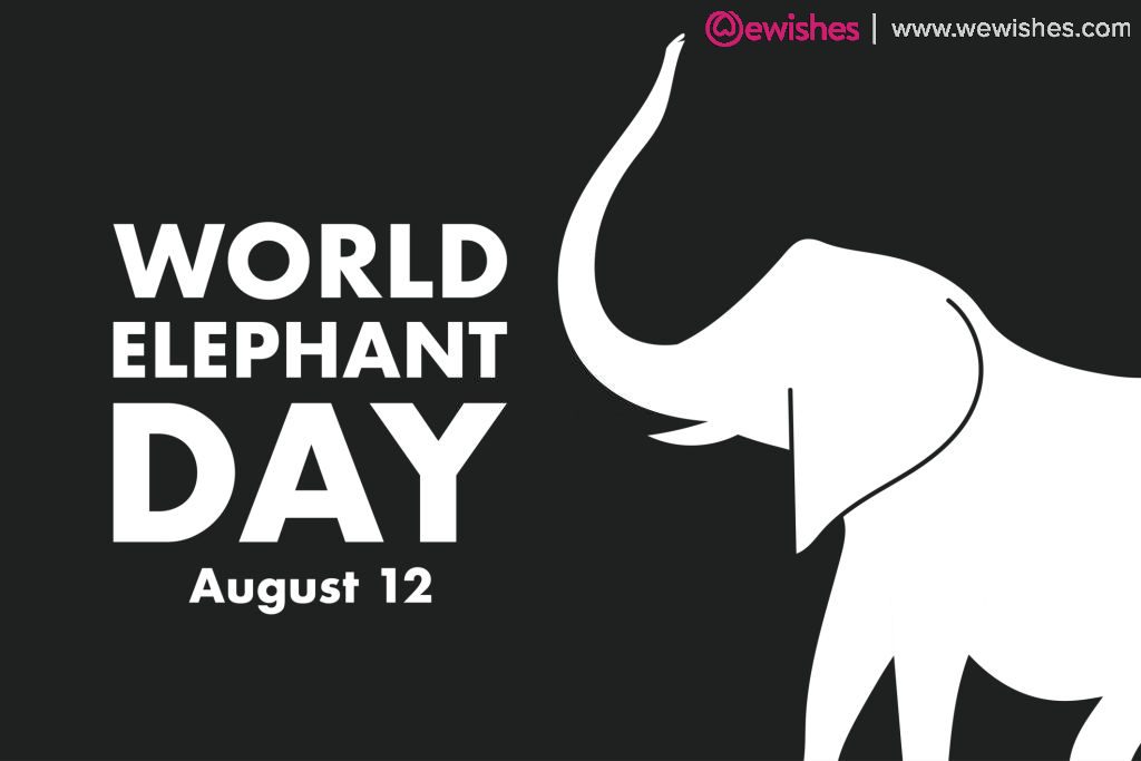 World Elephant Day Status