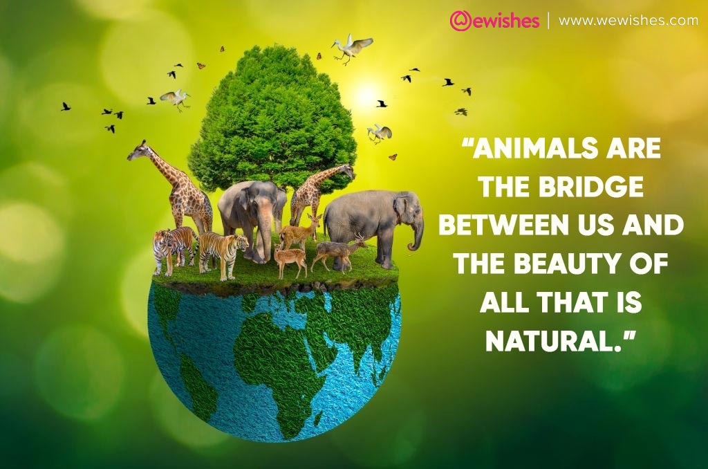 Happy World Animals Day: significance, history, poster, wishes, quotes to  share with close ones | We Wishes