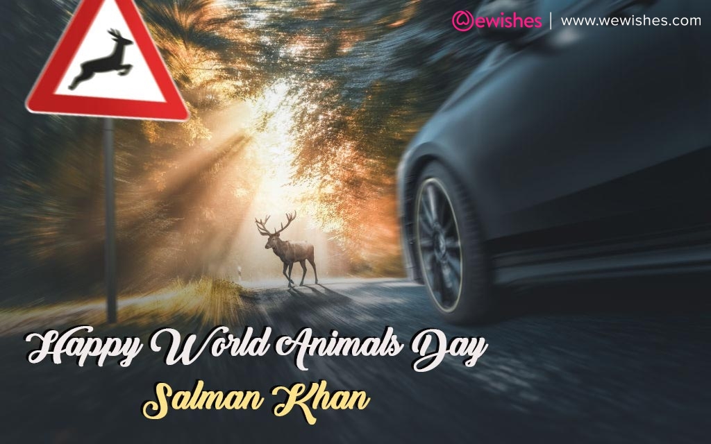 Happy world animal day Selmon bhoi