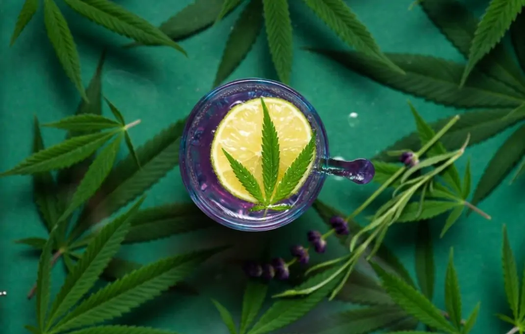 The Essential Guide to THC Detox: How to Rid Your Body of Marijuana